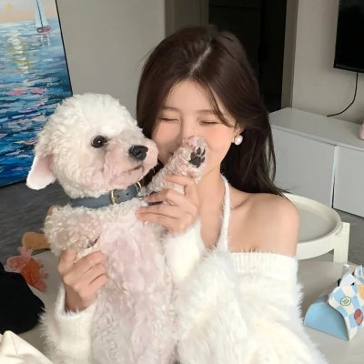 球场上的朝阳
